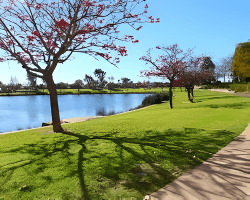 Affordable Movers in Canning Vale