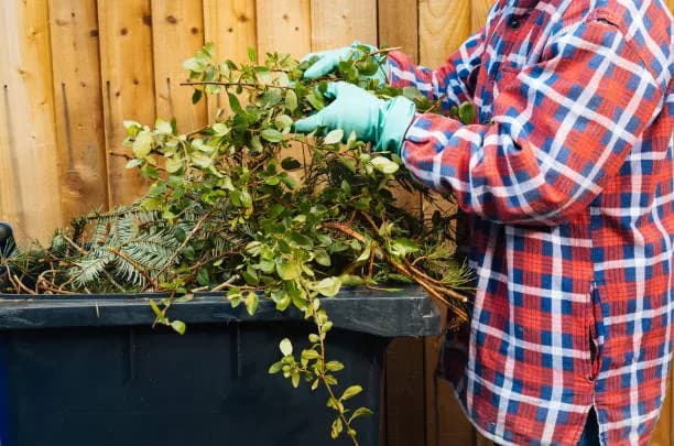 garden-and-outdoor-waste